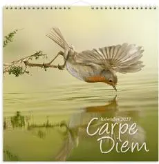 Billedkalender GRIEG 2027 Carpe Diem