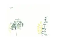 Bordbrikke DUNICEL 30x40cm Spire (100)