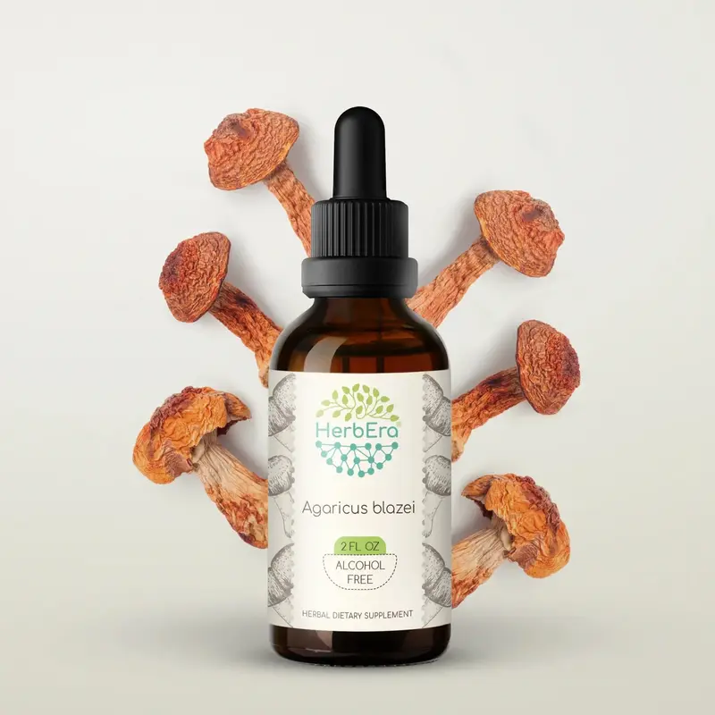 HerbEra Agaricus Blazei Tincture (Alcohol-Free, 59 ml)