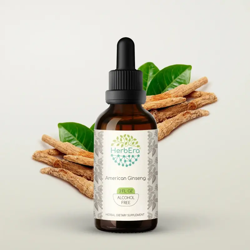 HerbEra American Ginseng Tincture (Alcohol-Free, 59 ml)