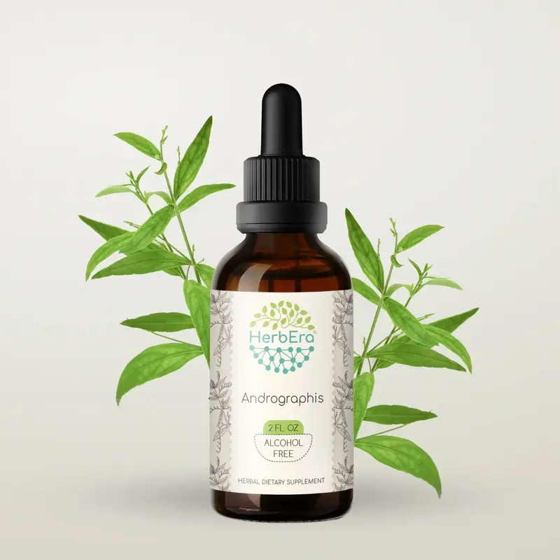 HerbEra Andrographis Tincture (Alcohol-Free, 59 ml)