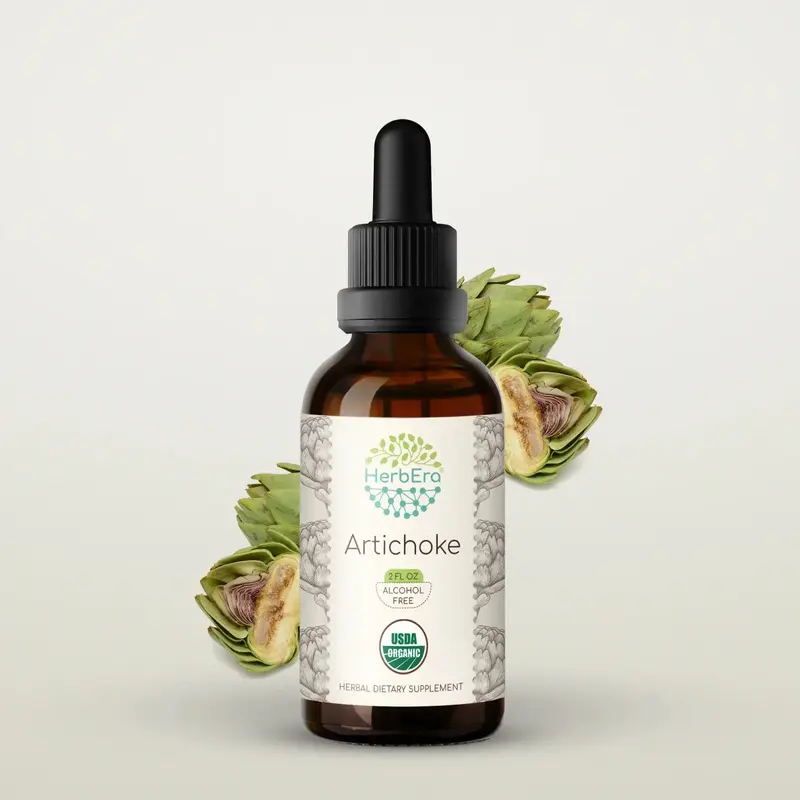 HerbEra Artichoke Tincture (Alcohol-Free, 59 ml)