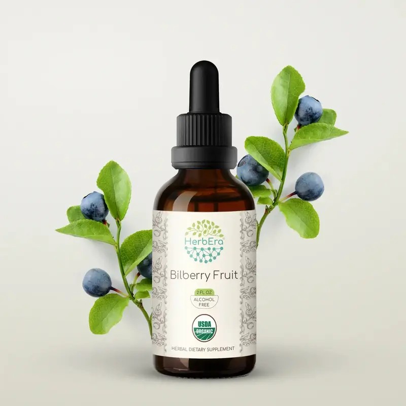 HerbEra Bilberry Fruit Tincture (Alcohol-Free, 59 ml)