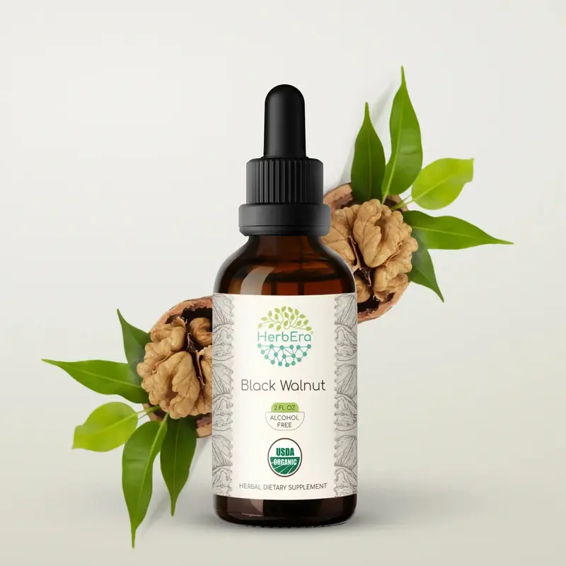 HerbEra Black Walnut Tincture (Alcohol-Free, 59 ml)