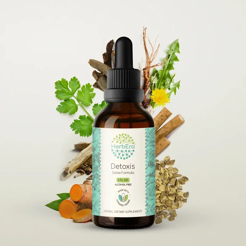 HerbEra Burdock, Dandelion & Turmeric Blend Tincture (Alcohol-Free, 59 ml)