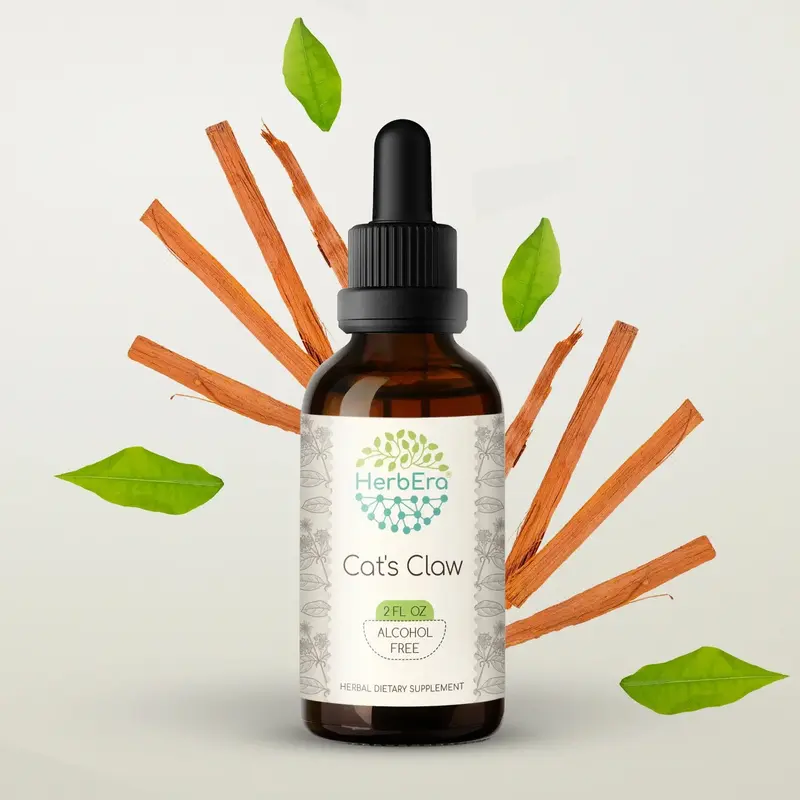 HerbEra Cat's Claw Tincture (Alcohol-Free, 59 ml)