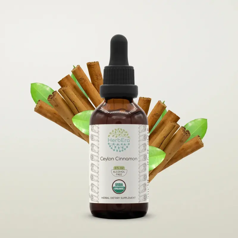 HerbEra Ceylon Cinnamon Tincture (Alcohol-Free, 59 ml)