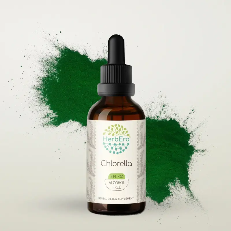 HerbEra Chlorella Tincture (Alcohol-Free, 59 ml)