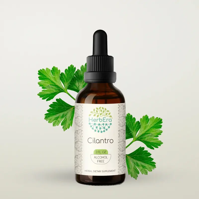 HerbEra Cilantro Tincture (Alcohol-Free, 59 ml)