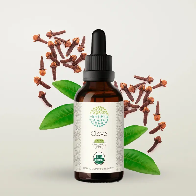HerbEra Clove Tincture (Alcohol-Free, 59 ml)