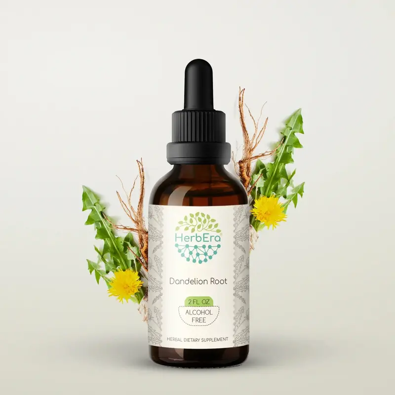 HerbEra Dandelion Root Tincture (Alcohol-Free, 59 ml)