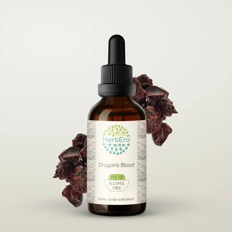 HerbEra Dragon's Blood Tincture (Alcohol-Free, 59 ml)