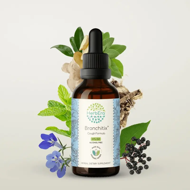 HerbEra Elderberry, Mullein & Ginger Blend Tincture (Alcohol-Free, 59 ml)
