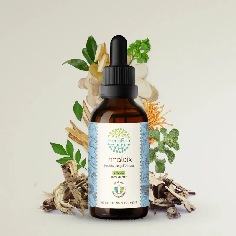 HerbEra Elecampane, Horehound & Cordyceps Blend Tincture (Alcohol-Free, 59 ml)