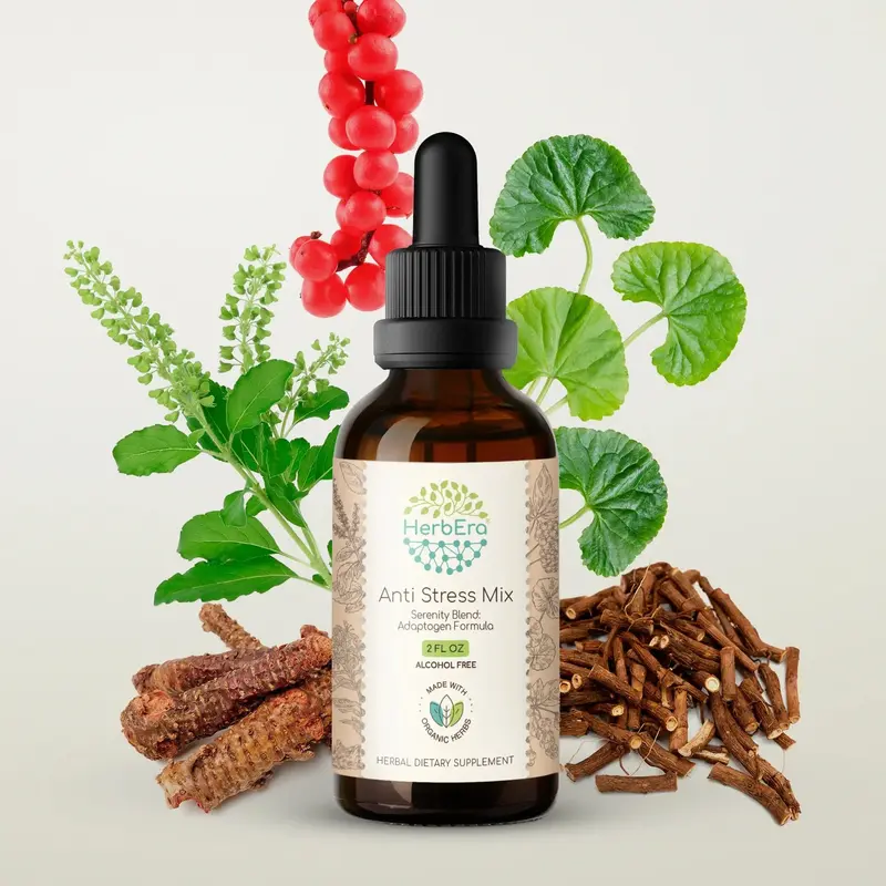 HerbEra Eleuthero, Rhodiola & Holy Basil Blend Tincture (Alcohol-Free, 59 ml)