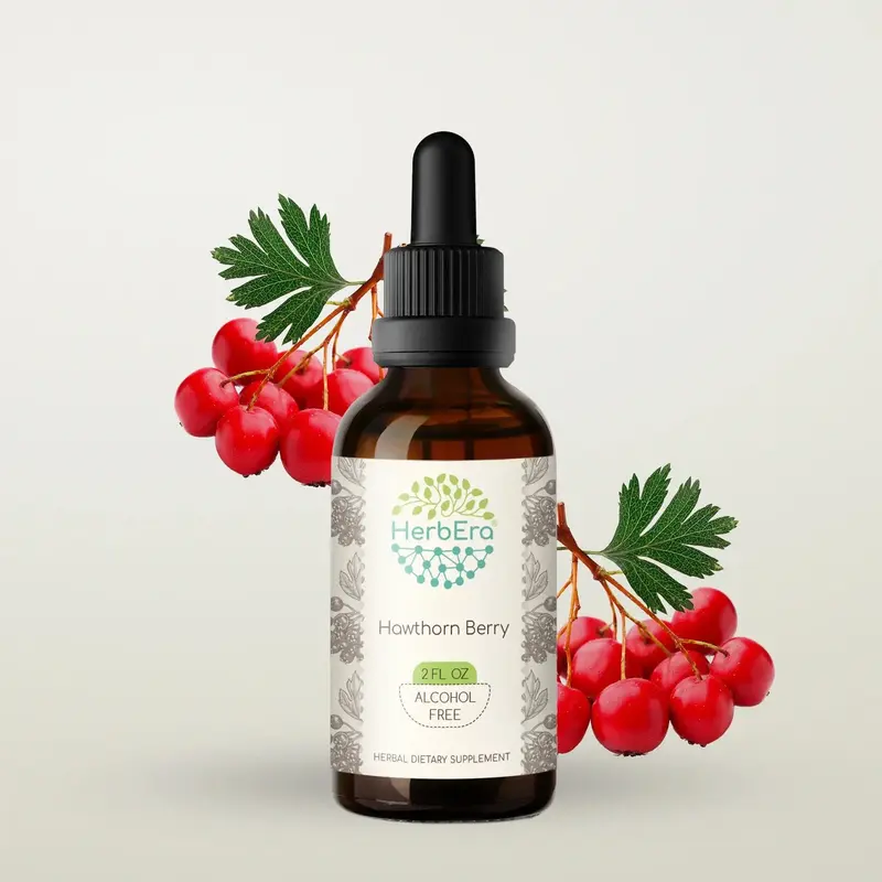 HerbEra Hawthorn Berry Tincture (Alcohol-Free, 59 ml)