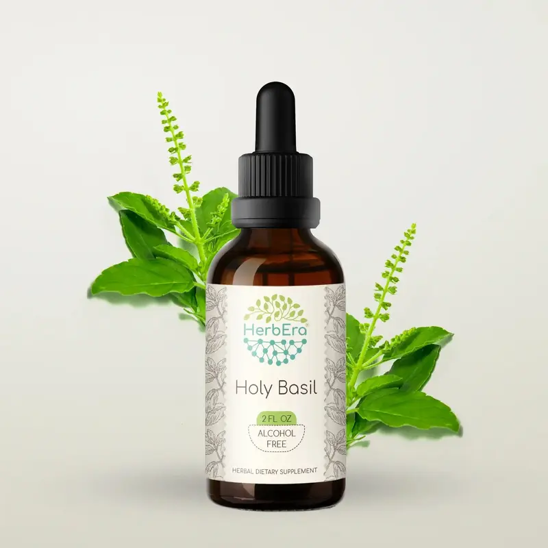 HerbEra Holy Basil Tincture (Alcohol-Free, 59 ml)