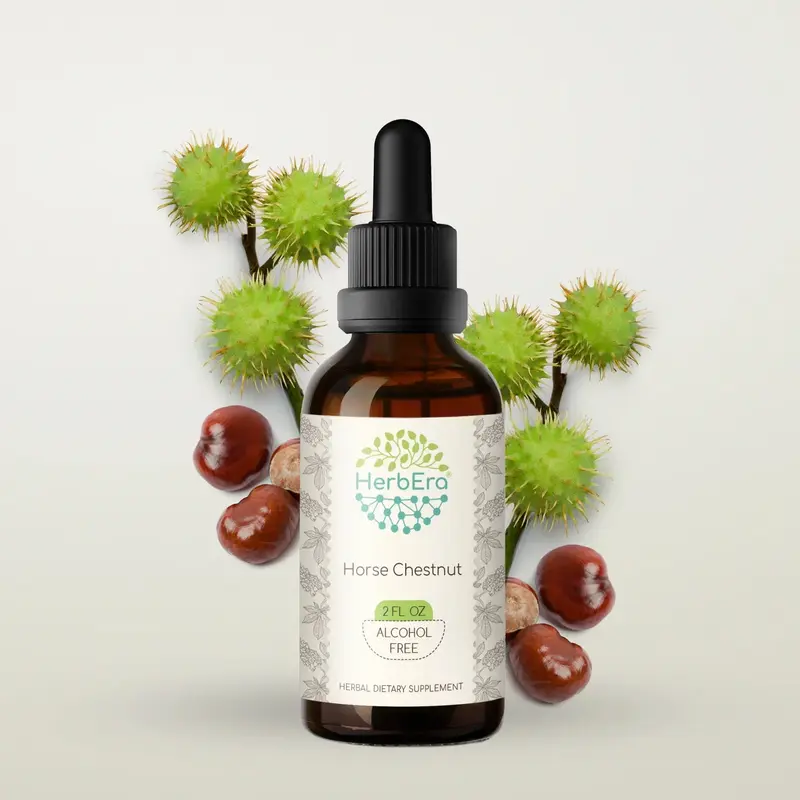 HerbEra Horse Chestnut Tincture (Alcohol-Free, 59 ml)