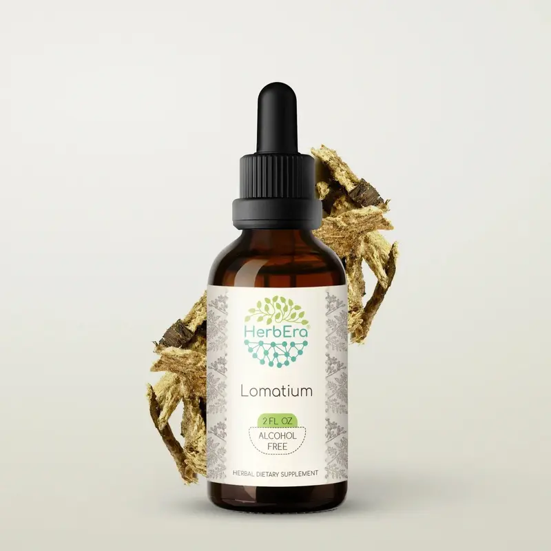 HerbEra Lomatium Tincture (Alcohol-Free, 59 ml)