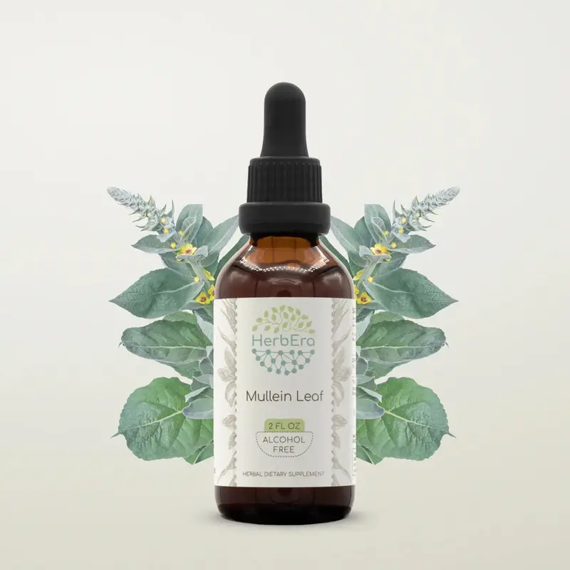 HerbEra Mullein Leaf Tincture (Alcohol-Free, 59 ml)