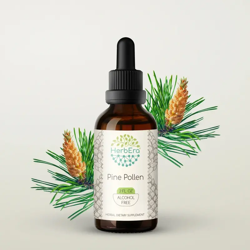 HerbEra Pine Pollen Tincture (Alcohol-Free, 59 ml)