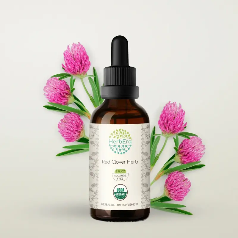 HerbEra Red Clover Herb Tincture (Alcohol-Free, 59 ml)