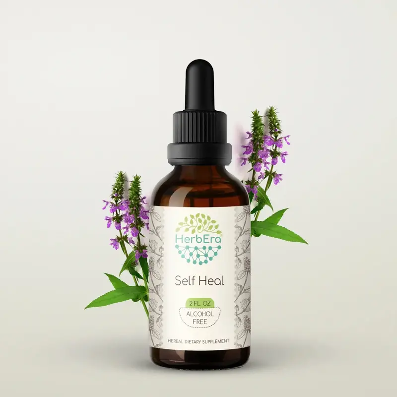 HerbEra Self Heal Tincture (Alcohol-Free, 59 ml)