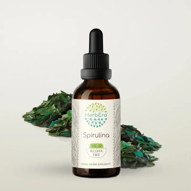 HerbEra Spirulina Tincture (Alcohol-Free, 59 ml)