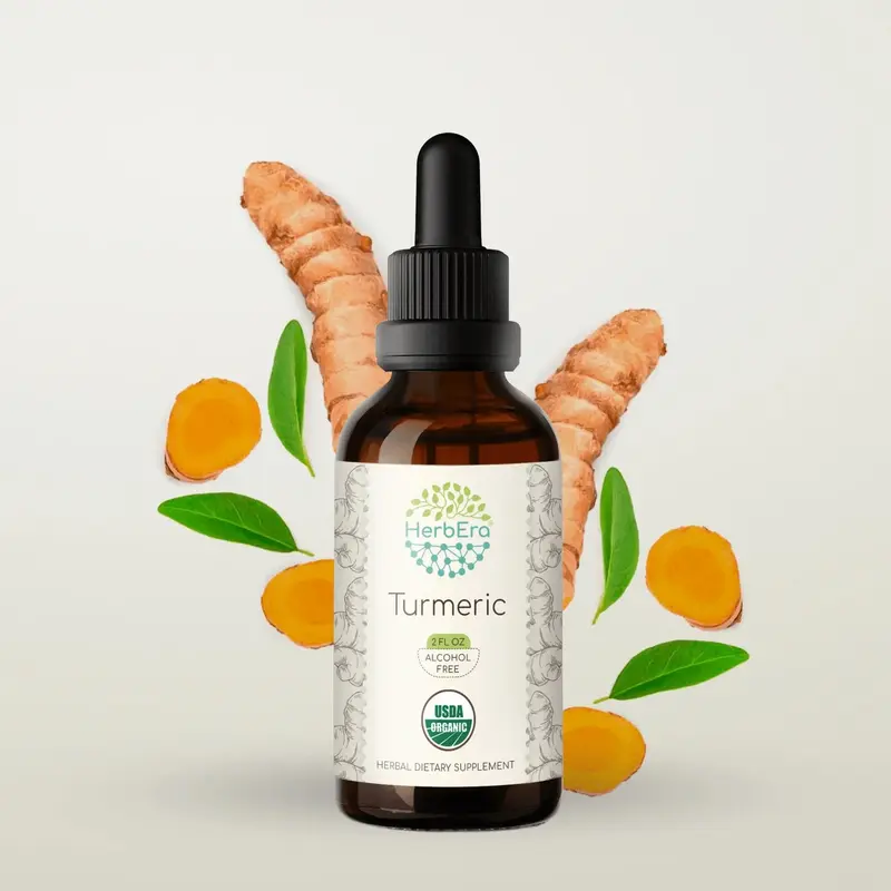 HerbEra Turmeric Tincture (Alcohol-Free, 59 ml)