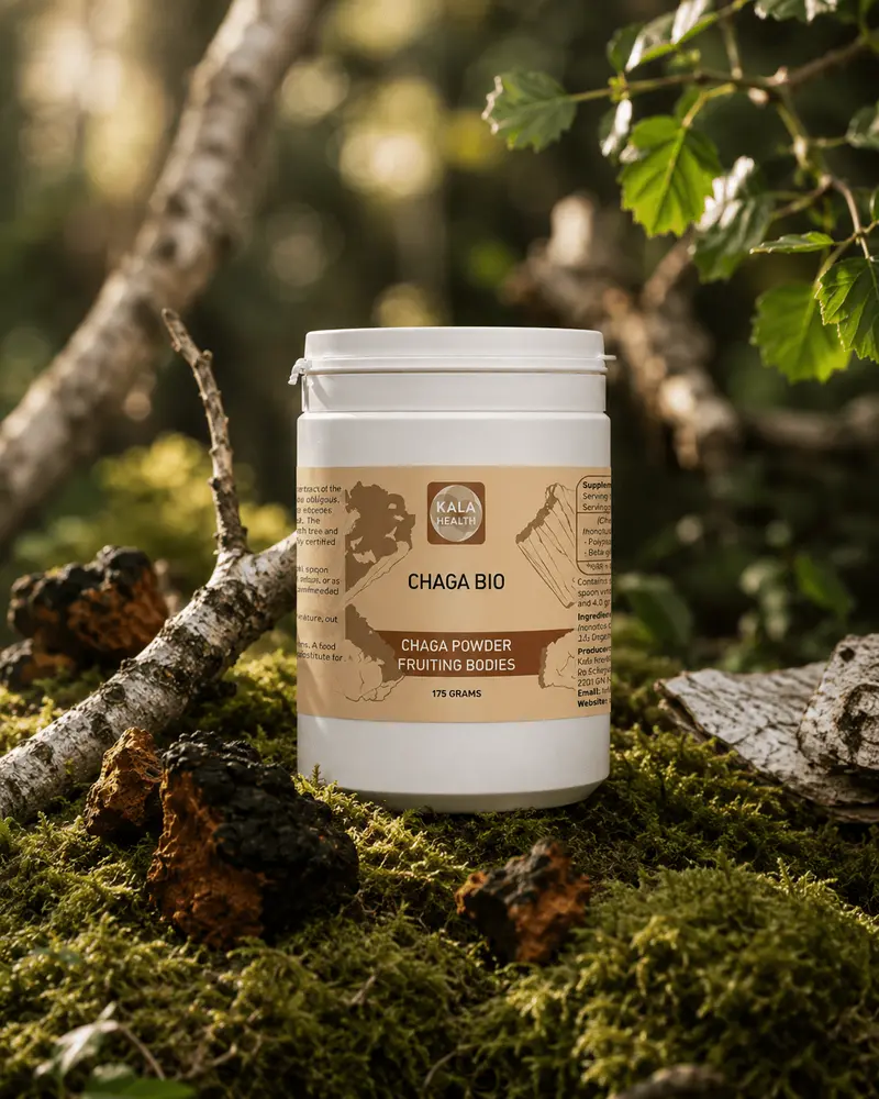 Kala Health Organic Chaga Extract Powder (175 g)
