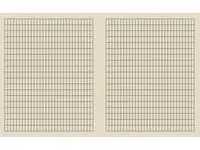 Kladdebok 17x21cm 55g 30bl 5x10mm ruter