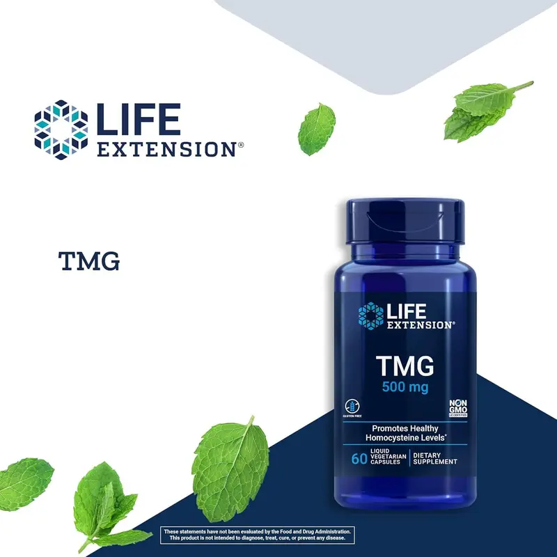 Life Extension TMG (Trimethylglycine) 500 mg (60 Vegetarian Capsules)