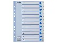 Register ESSELTE A4 plast 1-12 blå/hvit