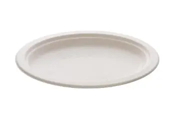 Tallerken bagasse oval 26x19cm (50)