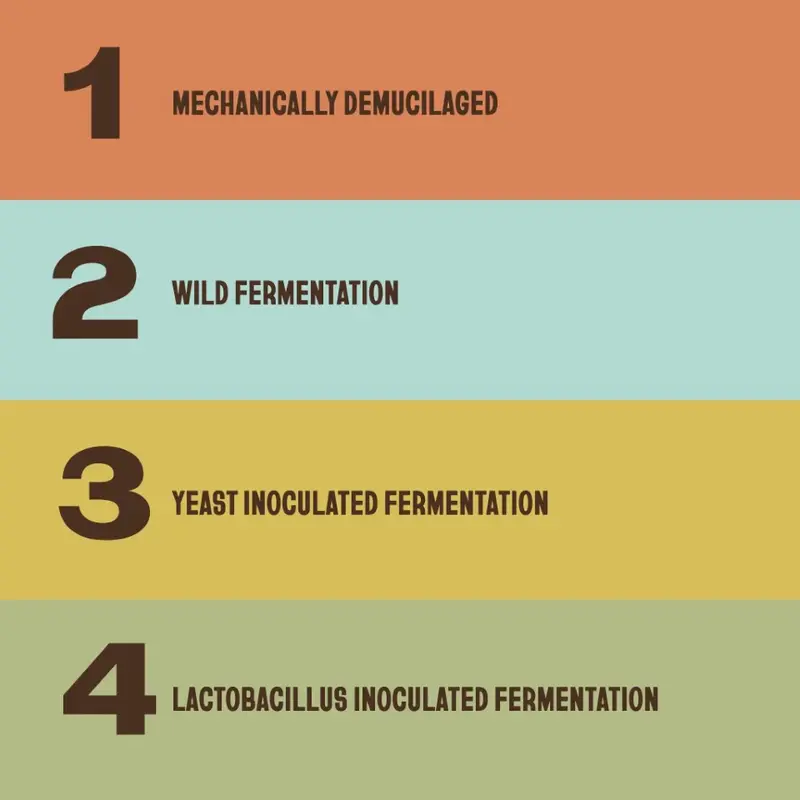 The Fermentation Project