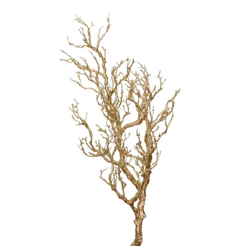 Twig Gold Branch