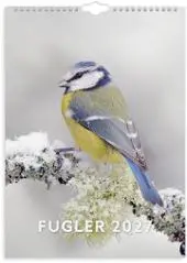 Veggkalender GRIEG 2027 Fugler