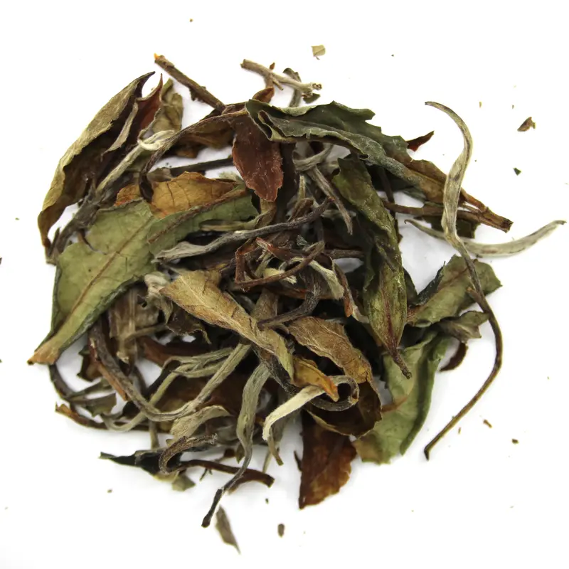 White Peony (Bai mu dan)